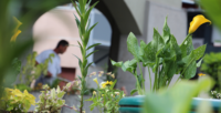 Quatre saisons pour nos espaces verts
