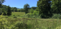 Sauvegarder le marais du pré Canet