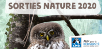 Sorties nature de la LPO