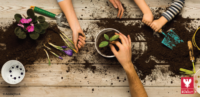 Jardinage, plantations : les bonnes pratiques en avril