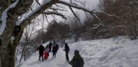 Péri-extra scolaire : les saisons nous proposent… L&rsquo;hiver