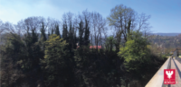 Comment gère-t-on le patrimoine arboré à Rumilly ?