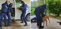 Police municipale : formation en psychologie canine avec la SPA