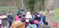 Des écoliers et collégiens en sortie nature au Bois de la Salle