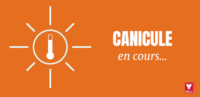 Vigilance orange canicule en cours