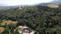Coupe préventive des épicéas au Bois de la Salle